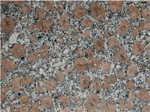 Pearl Flower Granite Slabs & Tiles, China Red Granite