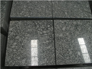 Spary White, China White Granite Slabs & Tiles
