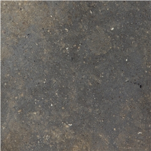 Gris De Catalan Limestone