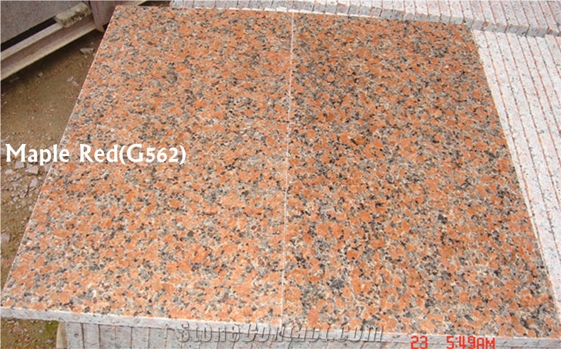Cheap Chinese G562 Maple Red Granite Slabs & Tiles, China Red Granite