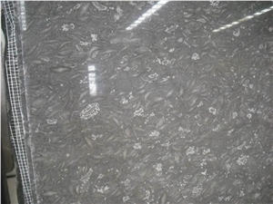 Cheap China Fossil Grey Marble Slab, Bawang Hua Grey Marble Slabs & Tiles