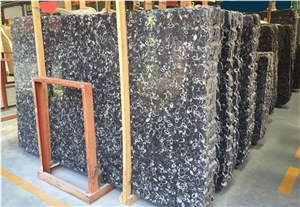 China Black Sea Shell Stone Natural Marble Slabs & Tiles