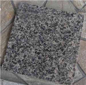 Black Leopard Granite Polished Tiles & Slabs, China Black Granite