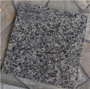 China Black Leopard Granite Polished Flooring & Walling Tiles