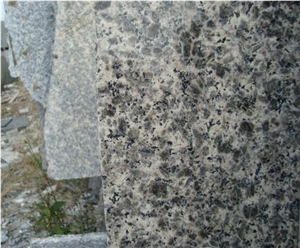 Leopard Skin Flower Granite Polished Flooring Tiles & Slabs, China Brown Granite Wall Tiles