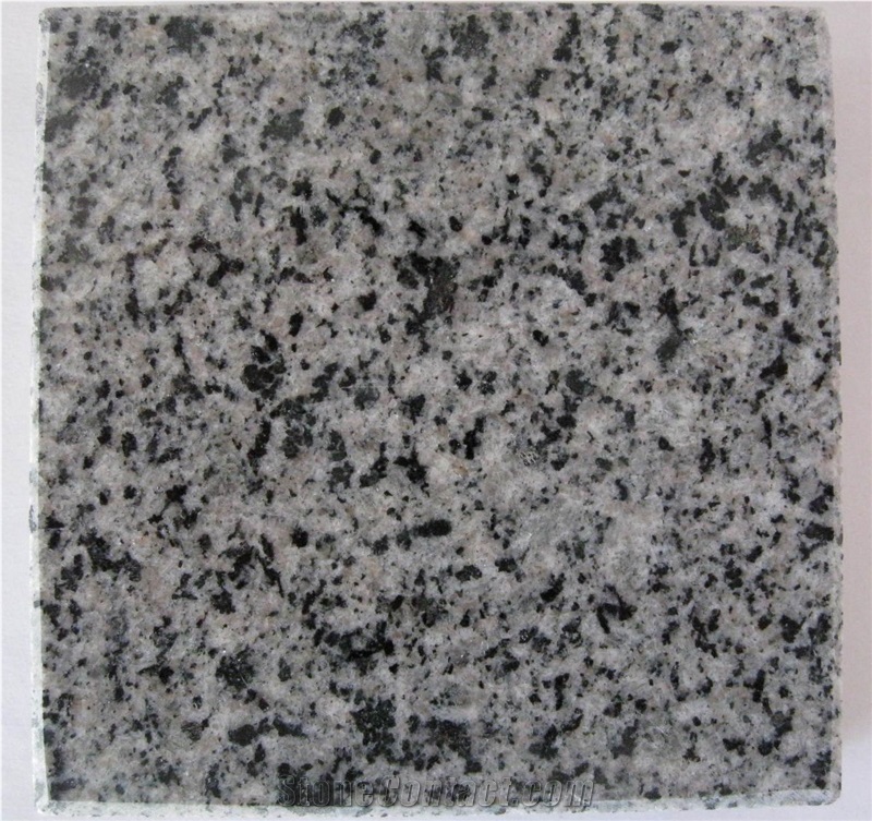 Hot Sell Wendeng Grey Granite Slabs & Tiles, China Grey Granite
