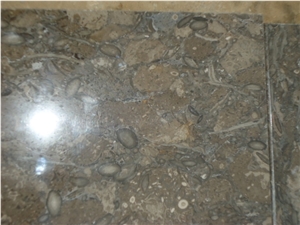 Chocolate Brown Limestone Slabs & Tiles, Natural Stone Fossil Brown Limestone Slabs