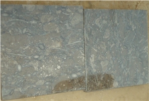 Chocolate Brown Limestone Slabs & Tiles, Natural Stone Fossil Brown Limestone Slabs