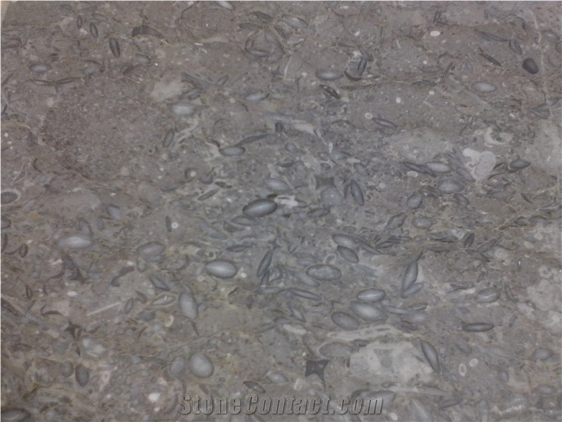 Dark Grey Fossil Limestone Tiles, Pakistan Grey Limestone