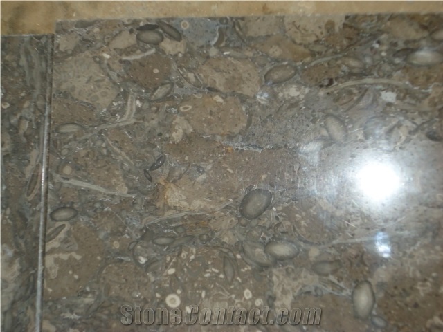 Dark Grey Fossil Limestone Tiles, Pakistan Grey Limestone
