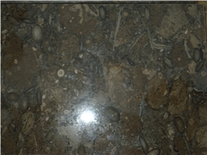 Fossil Dark Grey Limestone Slabs & Tiles, Pakistan Grey Limestone
