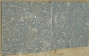 Pakistan Fossil Brown Limestone Tiles and Slabs