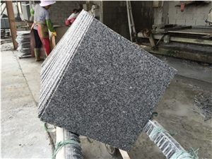 Fargo China Grey G603 Granite Polished Tiles in 12"*12"/12"*24", Chinese Classic Grey Granite Tiles for Wall/Floor