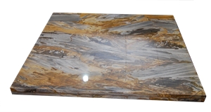 Brown Petrified Wood Tabletop