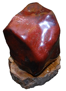 Red Jasper with Petrified Wood Base