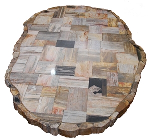 Tabletop - Brown Petrified Wood