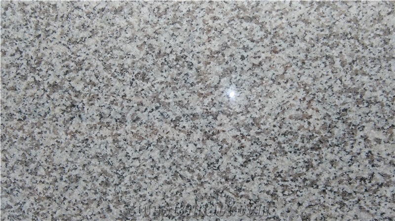 Guangdong G603 Polished Slabs,60cm Height,Length 240cm,Thickness 1.8cm