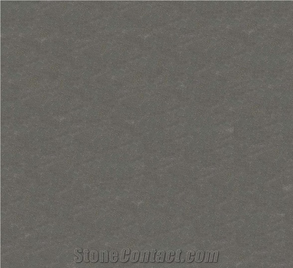Sagar Black Sandstone Slabs & Tiles