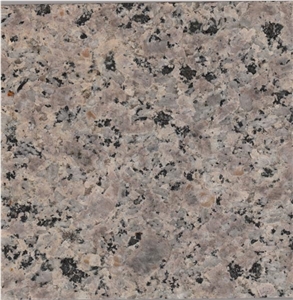 Iran Beige Granite, Crema Cabrera Granite Tiles & Slabs