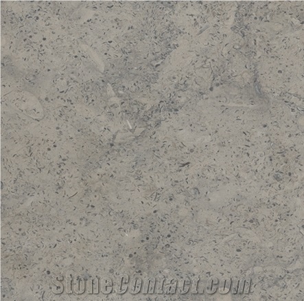An A62 Grey Jerusalem Limestone Tiles