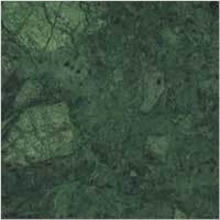 Forest Green Marble Tiles & Slabs, Green Marble India Tiles & Slabs