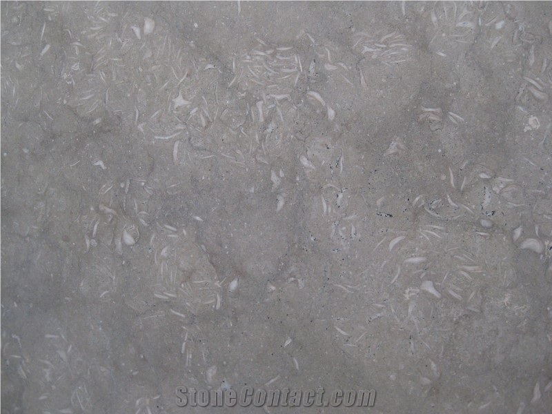 Saltino Fossil Honed Limestone Tiles, Grey Turkey Limestone Tiles & Slabs