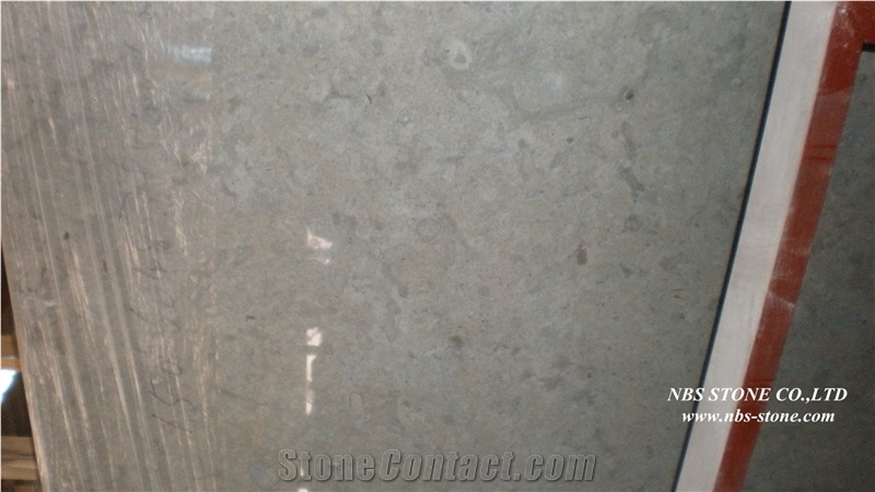 Israel Grey Limestone Slabs & Tiles,Benjamin Grey Limestone Wall Tiles