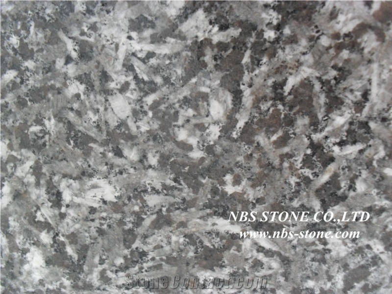 Saint Louis Granite Slabs & Tiles,Brazil Black Granite Floor Covering