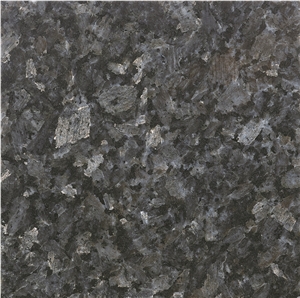 Silver Pearl Granite Slabs & Tiles, India Grey Granite