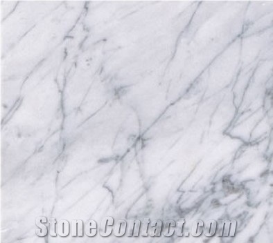 Bianco Venato Marble Slabs & Tiles, China White Marble