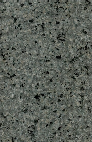 Marmo Green Granite Slabs & Tiles, China Green Granite