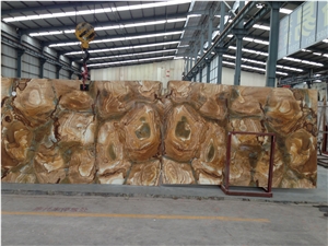Palomino Quartzite Slabs & Tiles,Brazil Yellow Quartzite for Walling,Flooring