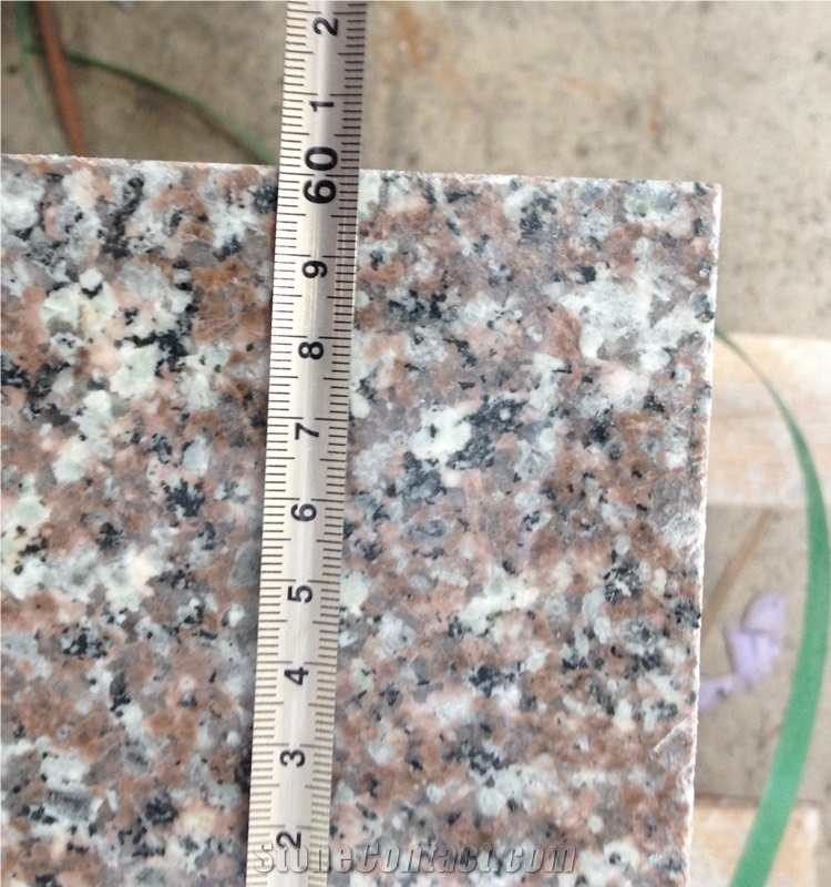 G664 Granite Tile Pink Porno Granite Tile Cheap Granite Tile