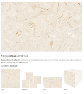 Colossae Beige Marble More Fossil Tiles & Slabs, Beige Marble Turkey Tiles & Slabs