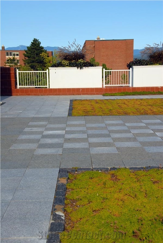 Light Grey Granite Outdoor Patio / Garden Landscape Paving Tiles, G603 Grey Granite