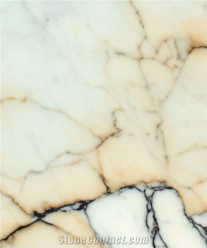 Paonazetto Bianco Marble Tiles & Slabs, White Marble Italy Tiles & Slabs
