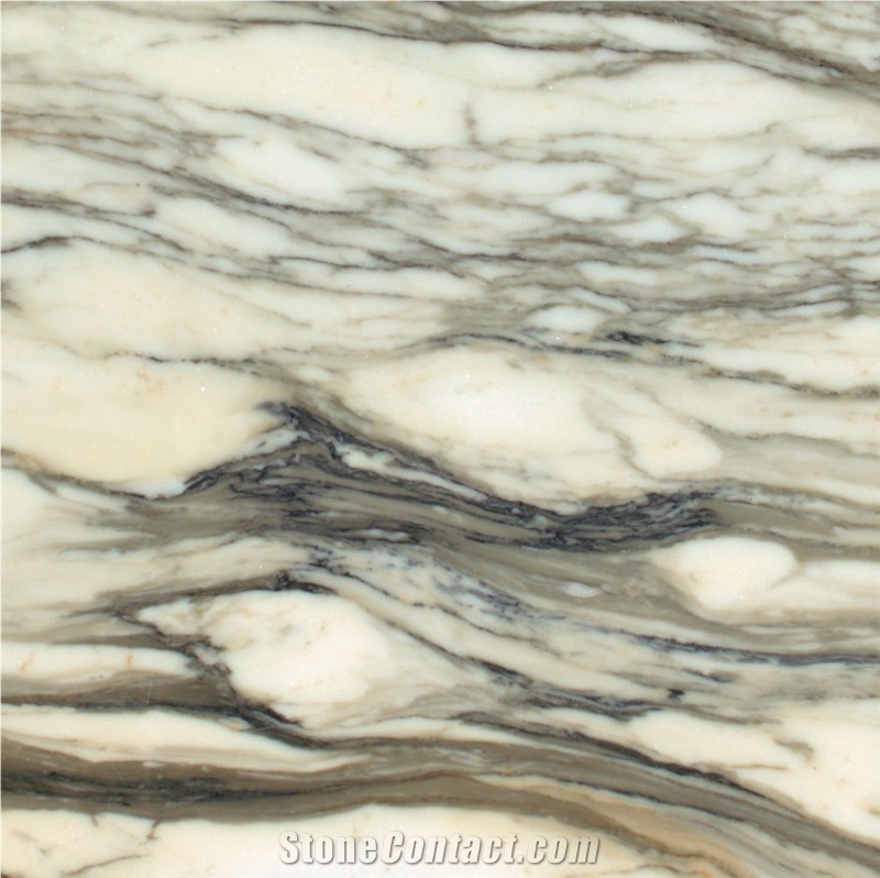Paonazzo Marble Slabs & Tiles, White Marble Italy Tiles & Slabs