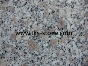 G383 Granite Slabs & Tiles, Pearl Flower Half Slabs 240upx70upx2cm Good Quality Nice Price