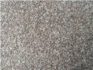 Fargo G664 Granite Flamed Tiles 600x600x20mm for Wall/Floor,Voilet Of Luoyuan Red Granite Flamed Tiles