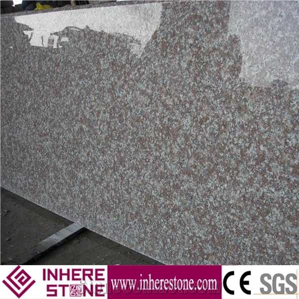 G664 Granite Slabs & Tiles/Sunset Pink G664 Granite/Tea Brown G664 Granite/Violet Of Luoyuan G664 Granite