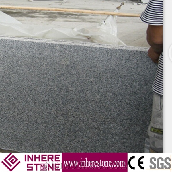 Gray G603 Granite Slabs & Tiles, Crystal Grey Light