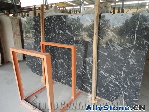 China Black Fossil Marble Slabs & Tiles, Morocco Black Marble