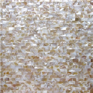 Shell Mosaic,Wall Mosaic