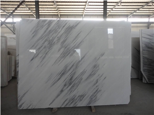Statuarietto Marble Slabs & Tiles, China White Marble