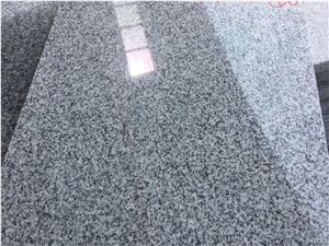 New G603/Hubei G603 Granite/G603 Granite/Grey Granite/China Grey Granite/Fujian Granite