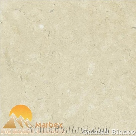 Galalah Light Slabs & Tiles, Galala Light Marble Slabs & Tiles