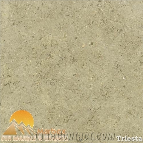 Triesta Limestone Slabs & Tiles, Egypt Beige Limestone