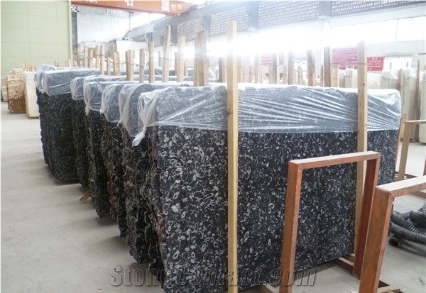 China Cheap Black Fossil Marble Flag Slabs