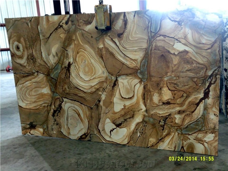 Exotic Stone Wood Quartzite Slabs