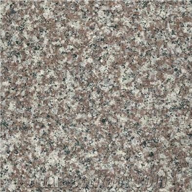 G664 Granite Slab & Tiles, China Cheap Granite